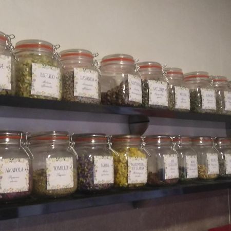 Casa Rural Ruralba Alba de los Cardaños 外观 照片