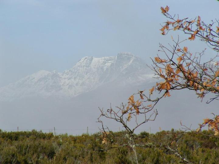 Casa Rural Ruralba Alba de los Cardaños 外观 照片